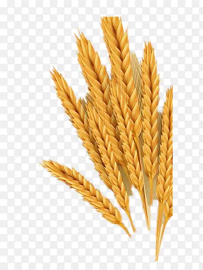 С��-������