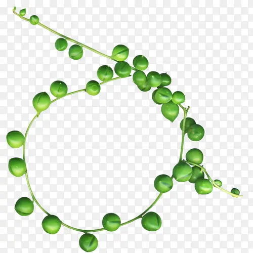 �̶�Բ���ز�-������