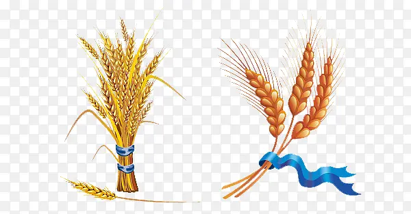 ��Ʒʵ��-������