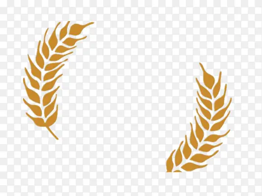 С��-������