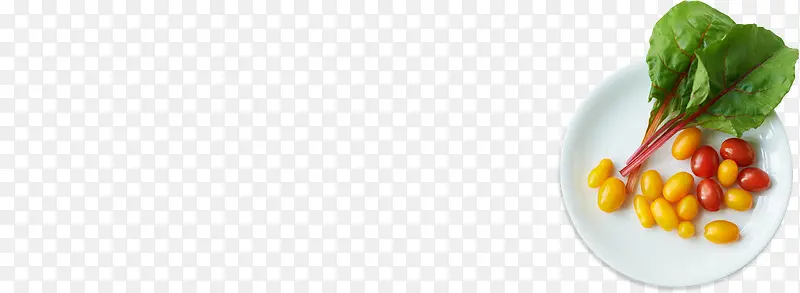 Ӫ������߲˴���-������