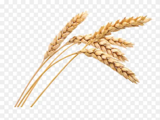 С��-������