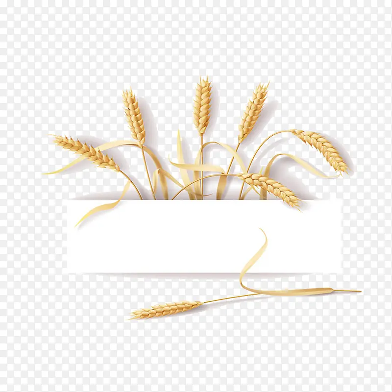 С��-������