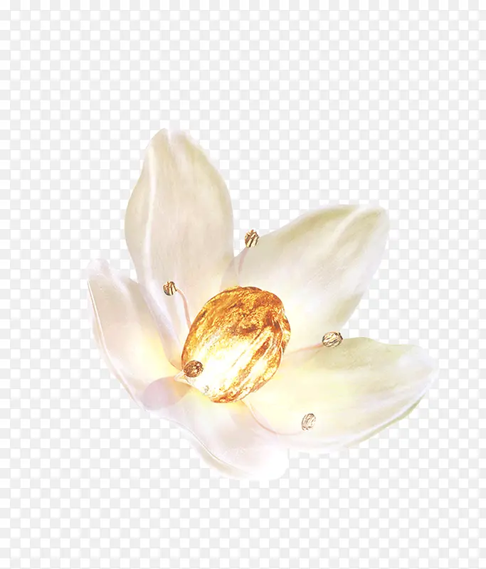 ��ɫ�ɻ�����-������