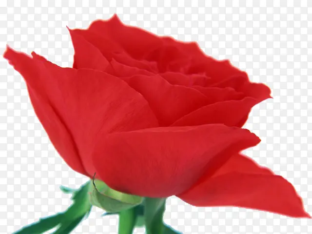 �������õ��-������