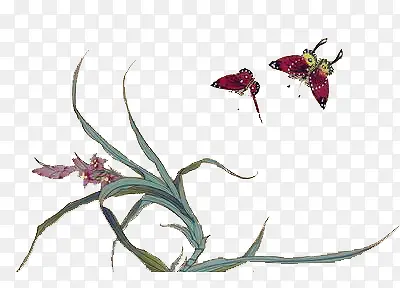 ��ֲ��-������