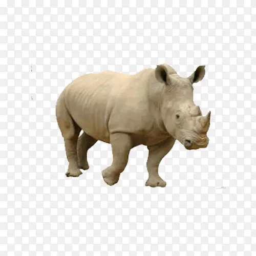 Ϭţ-������