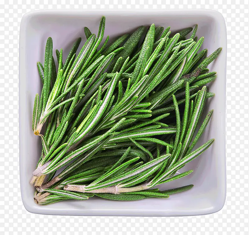 ��Ҷ-������