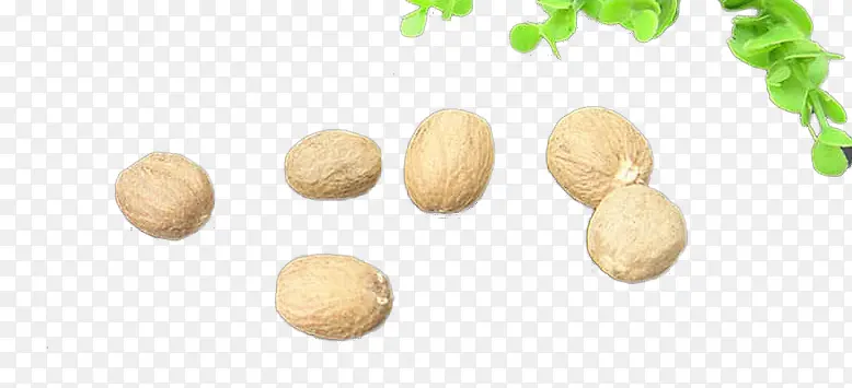 ��ޢ�����-������