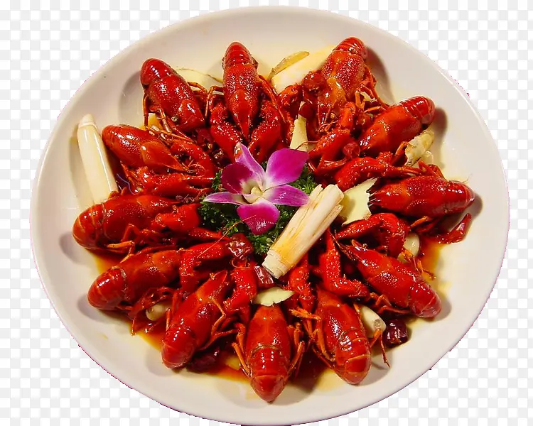 ����Ϻ-������