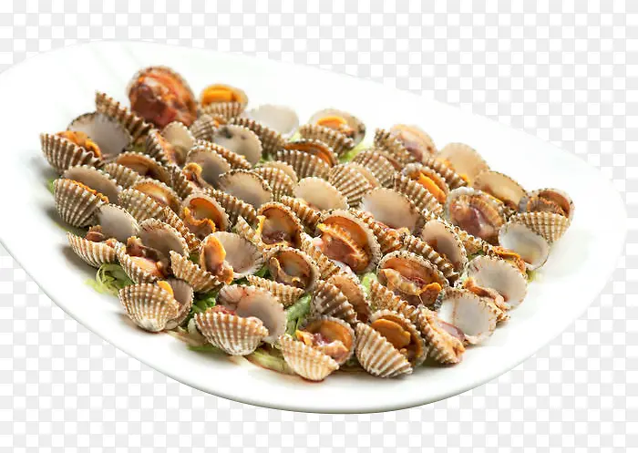 ����Ѫ��-������