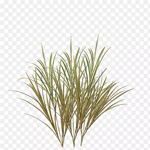 ��ͼ�����ֽ����ͼ��.��-������