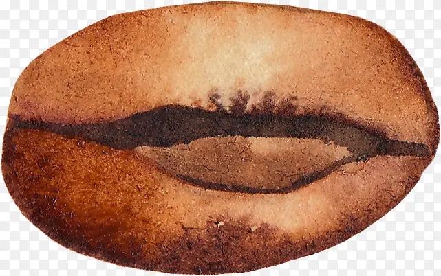 �ֻ����-������