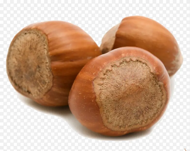 ����ʵ����Ӱ-������