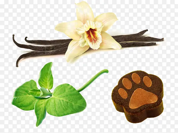 �ֻ�ʳ��-������