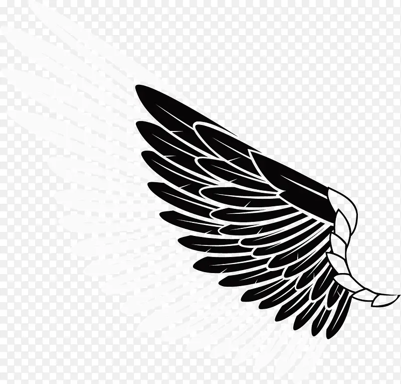 ��ɫ����ֻ���Ϧ���˽�-������