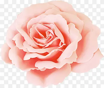 õ��-������