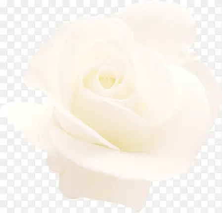 õ��-������