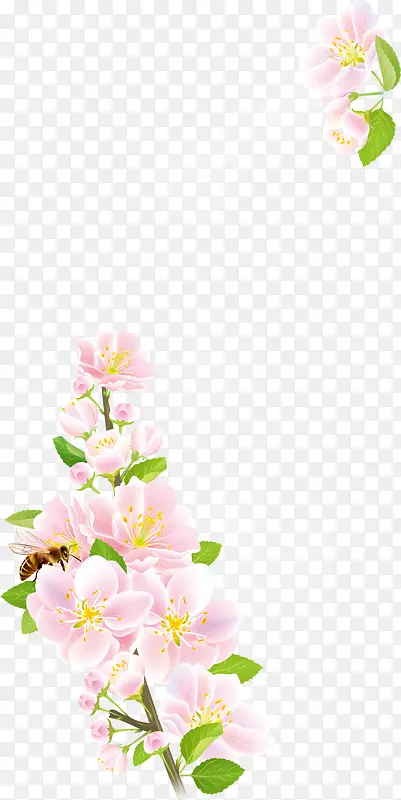 ���ܱ߿����-������