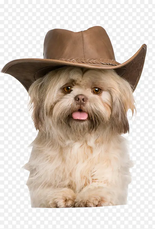 ����-������