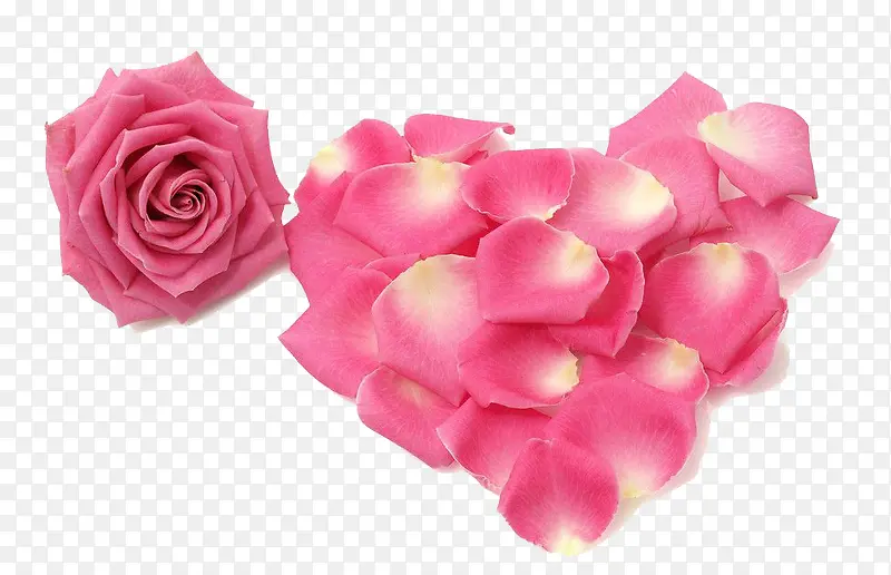 ����װ�ΰ���-������