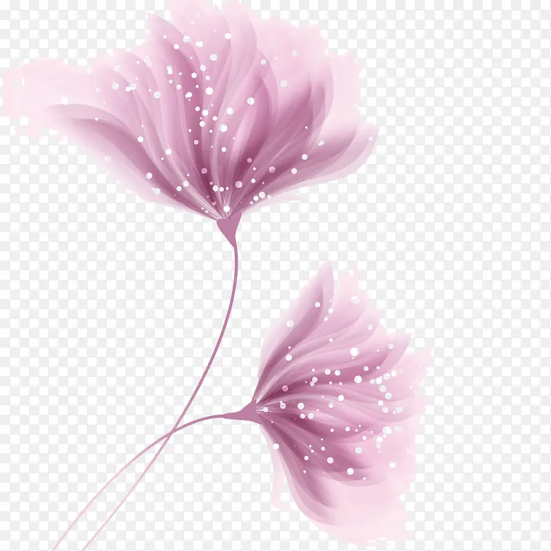 ���걳��-������