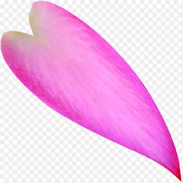 ��ɫ���Ļ���-������