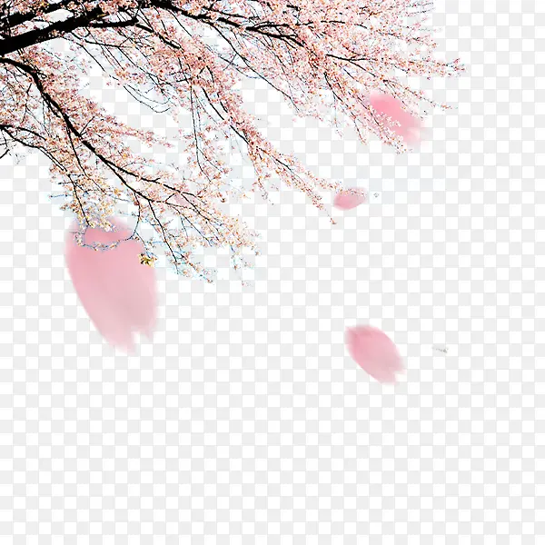 ����-������