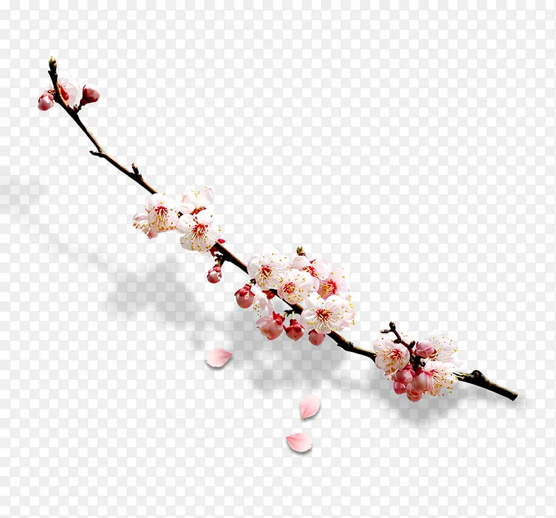 �һ�-������