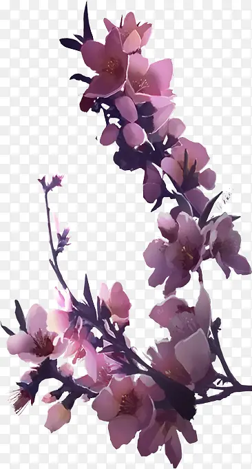 ������֦�һ�-������