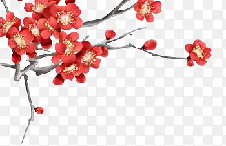 ÷��ˮ��÷����֦-������