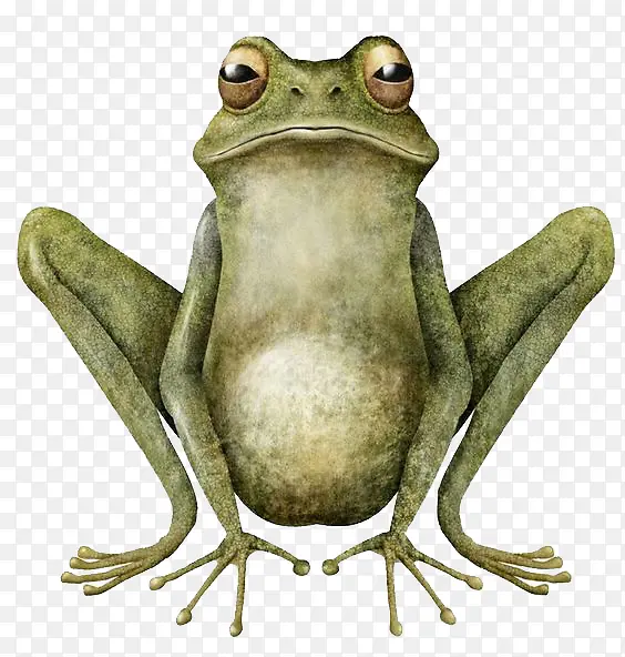 �ֻ�����-������