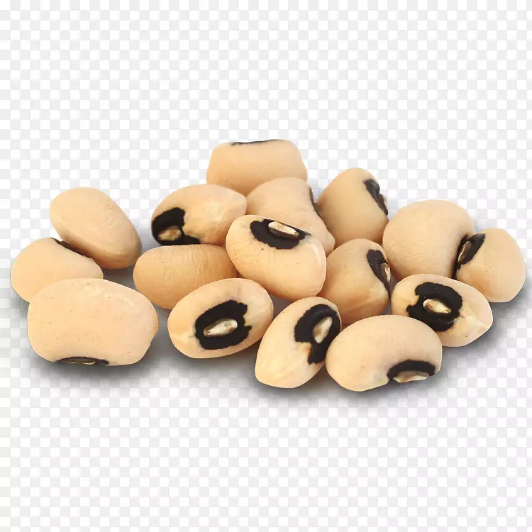 ���۶���ɳ��ʳƷ�ڶ�-������