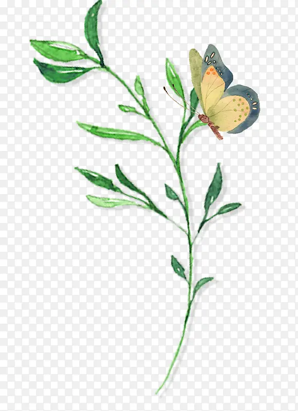 Ůװ�ֻ滨-������