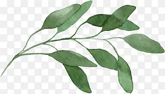 ������ӰŮװ����Ч��ͼ-������