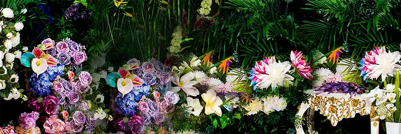 ��ɫ���ܱ���-������