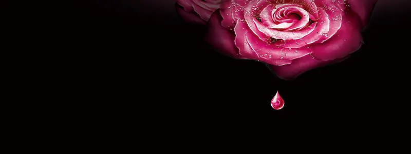 Ψ�����䱳��-������