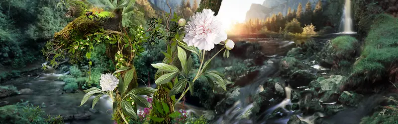 �ּ�ֲ�ﱳ��-������