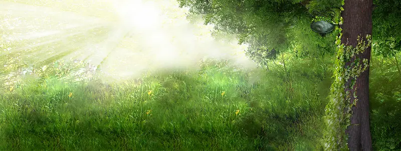 ���ֱ���-������