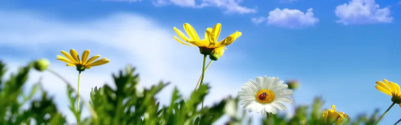 ��ձ���-������