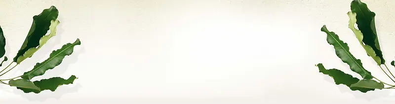 Ůװ���������ز�Ҷ���ز�-������