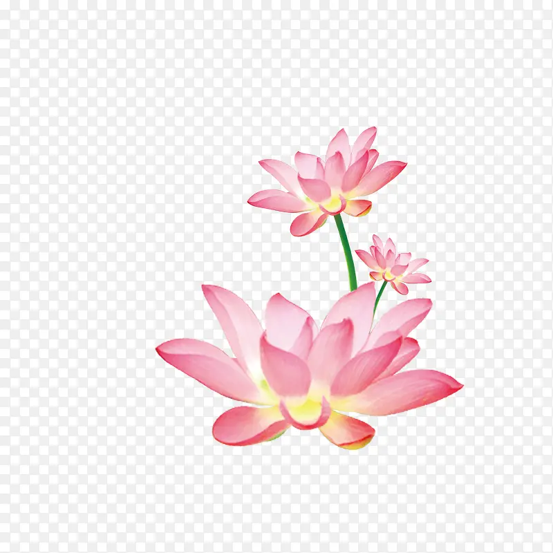 �����ز� �ɻ�-������