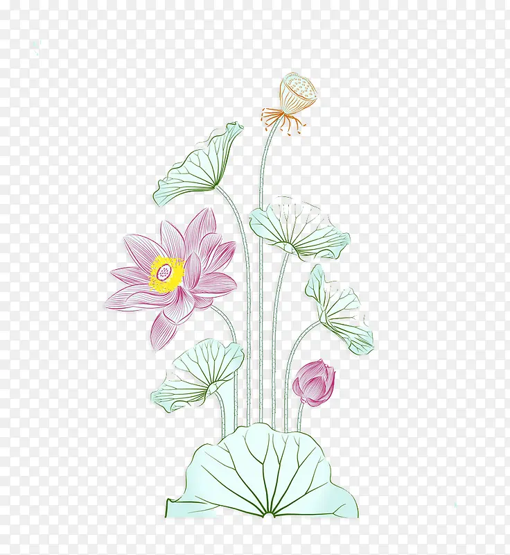 ����ˮ�ʺɻ�-������