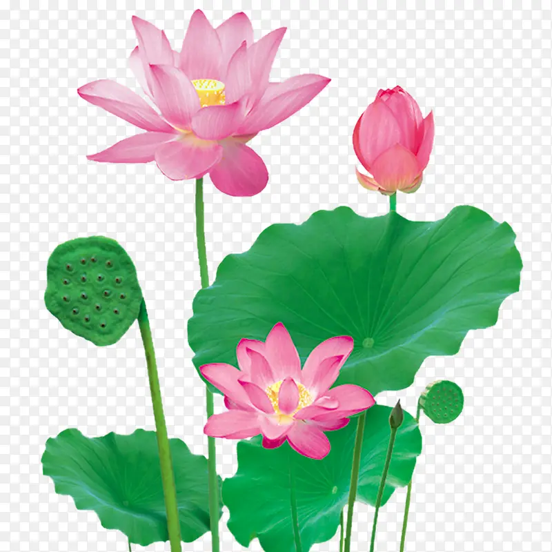 �����ز� �ɻ�-������