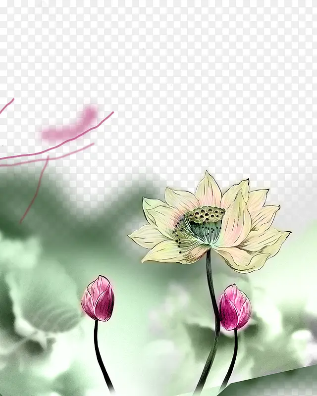 �ɻ�ˮīװ������ز�-������