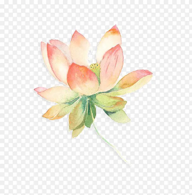 ˮ�ʺɻ�-������