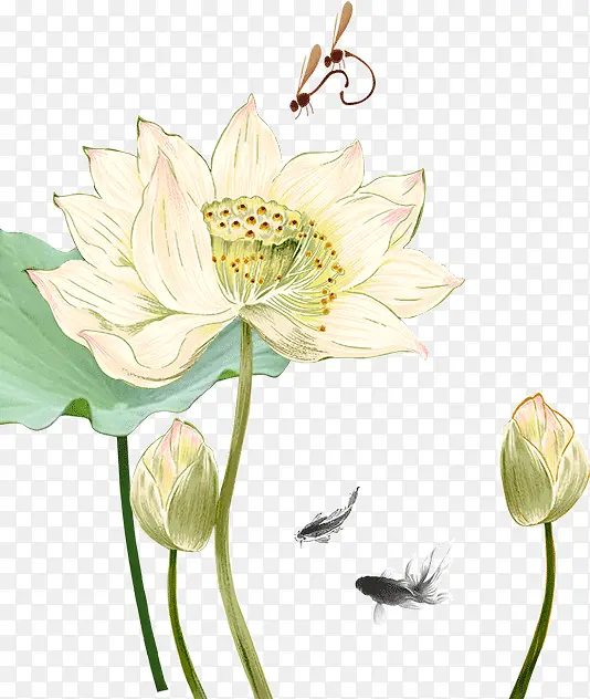 ��ɫ�����ɻ�-������