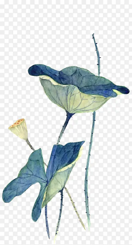 ��Լ��ɫˮ�ʺɻ�-������