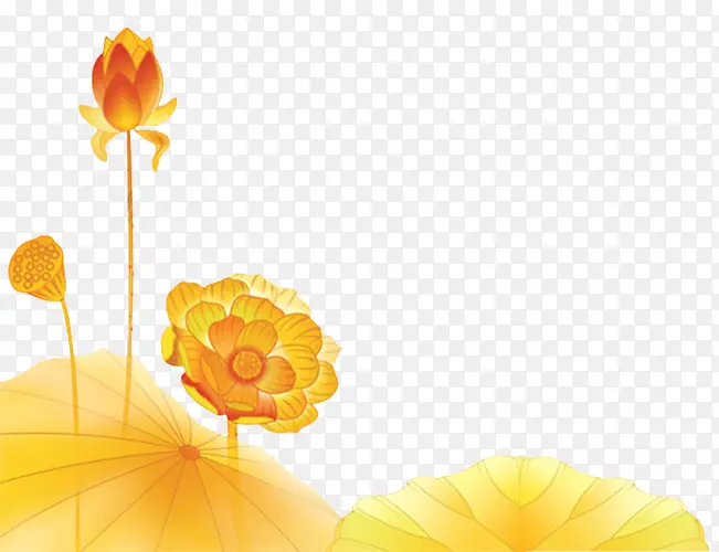 ��ɫ�ɻ�-������