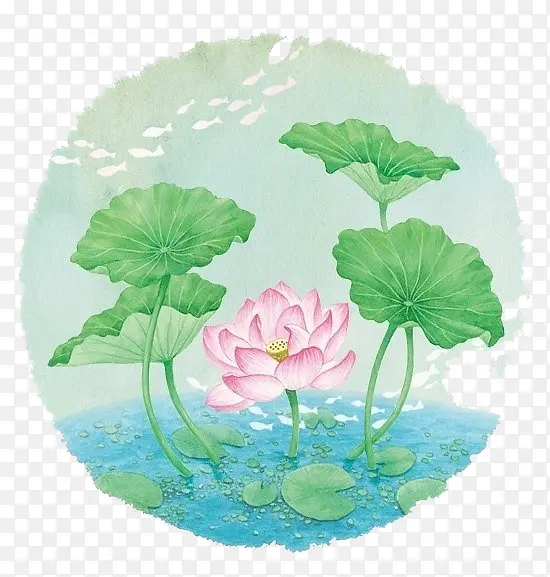 ˮ�ʺɻ�-������